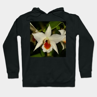 White Cimbidium Orchid Hoodie